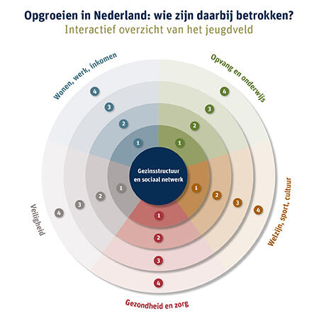 Overzicht Van Het Jeugdveld In Nederland | Nederlands Jeugdinstituut