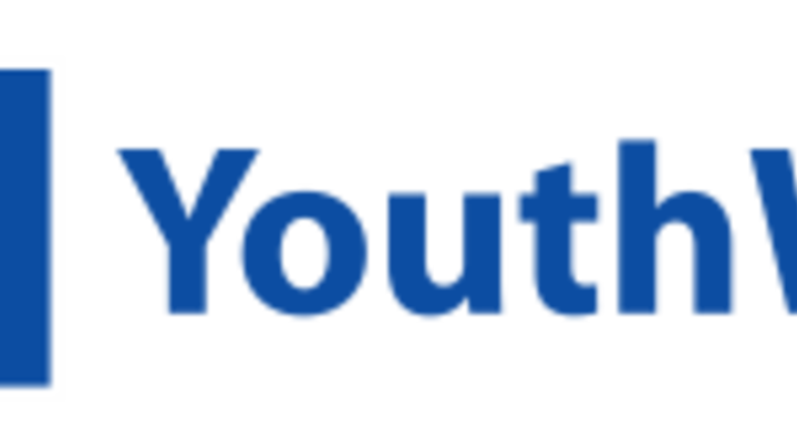 Logo Youth Wiki